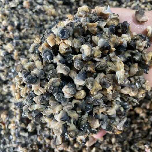 潜江市1.4以上大石螺肉，人工精挑两次，颜色黑，味道鲜美Q￼弹