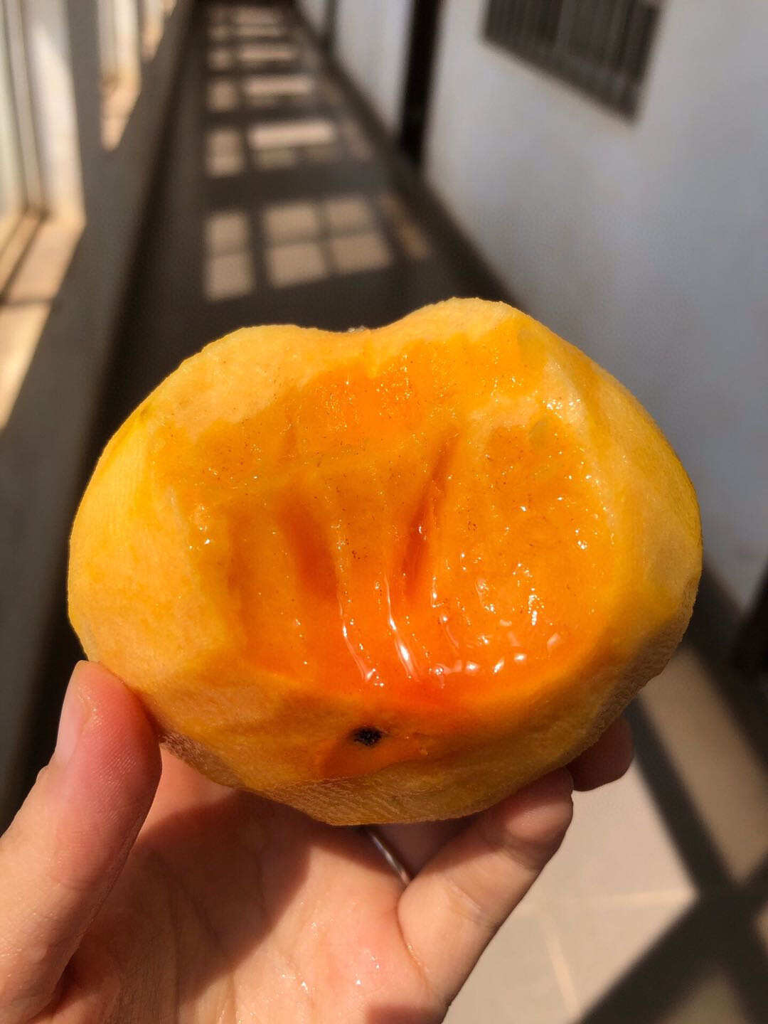 陕西甜脆柿新鲜采摘产地直发秋季水果精品一件代发