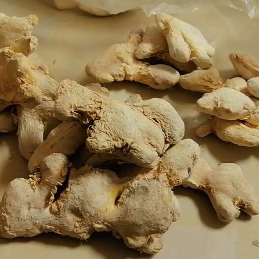 罗平县生姜三七