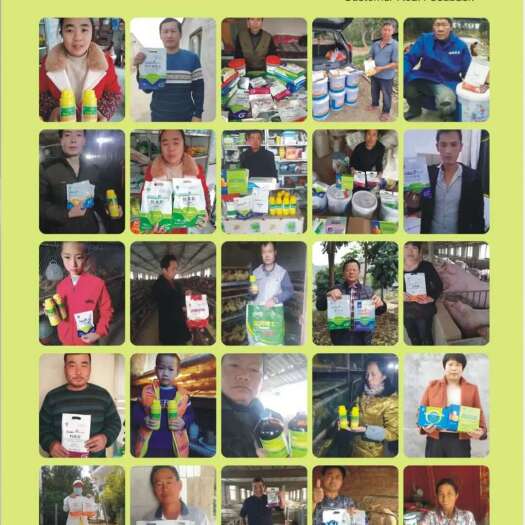 原阳县客户真实反馈，本企业主做家畜家禽技术服务