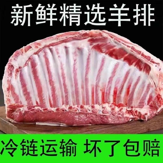 临沂原切生羊排肉新鲜冷冻带骨整扇多肉羊排肋排带皮羊肉骨架一整箱