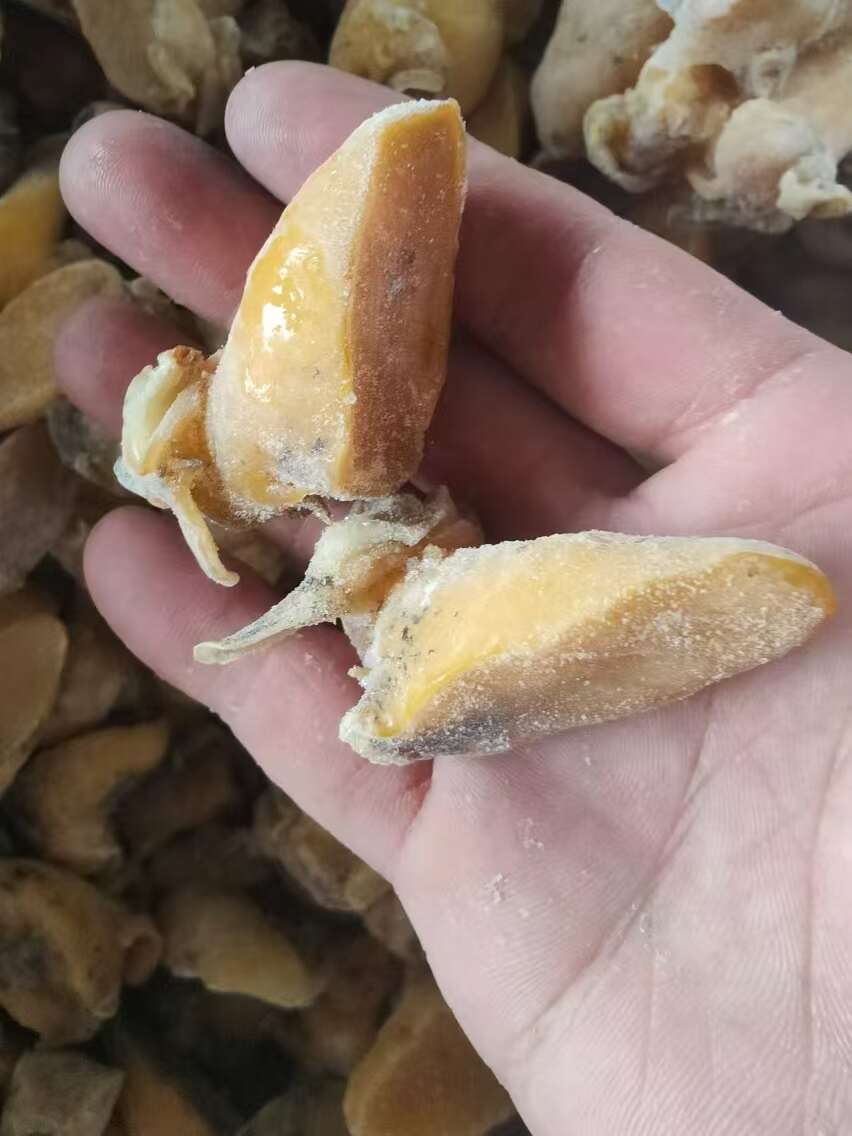 老婆脚