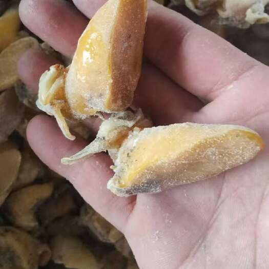 东港市老婆脚