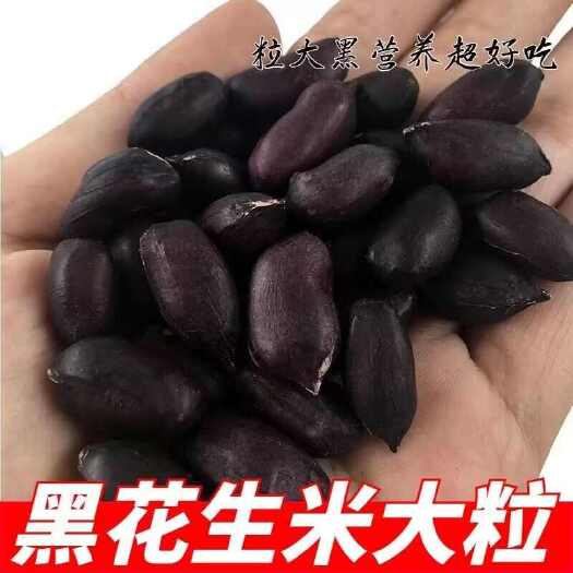 睢县2024富硒黑花生晒干黑皮花生米去壳花生米黑紫皮花生米皮批发