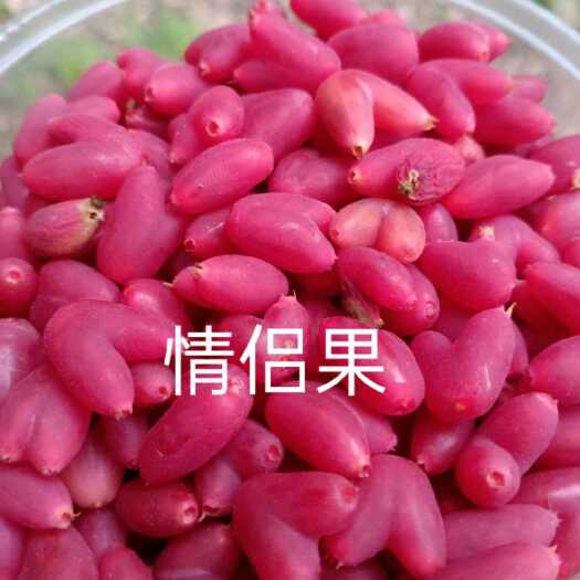 卢氏县夫妻果，叉巴果，