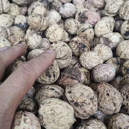 云龙县薄皮核桃，2024新核桃，云南老品种核桃，薄皮大泡果。