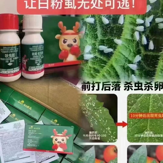 郑州抗性杀白粉虱剂:专杀各种蔬菜水果作物白粉虱抗性白粉虱