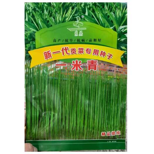 宿迁种都上品青贡菜种子耐热耐湿抗高温夏秋专用一米青贡菜籽莴苣种子
