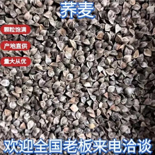 天津俄罗斯荞麦，2700元/吨，天津现货。