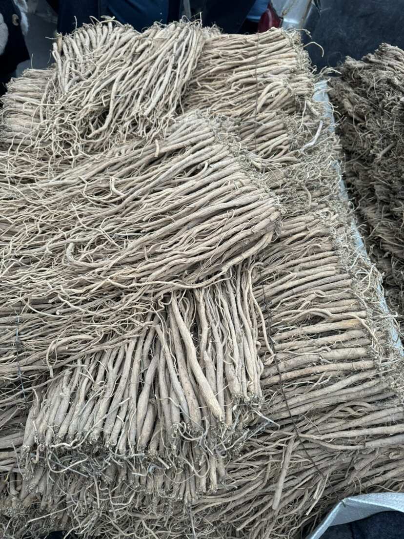银柴胡中药材根茎类天然草本植物原料批发