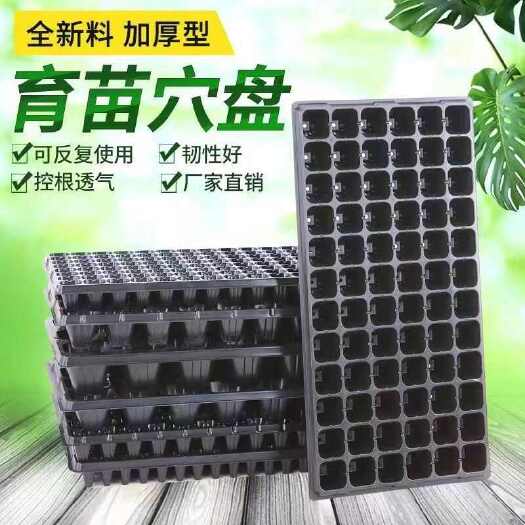 昆明批发整箱育苗盘 穴盘 玉米辣椒番茄多肉 全新料加厚 量大优惠