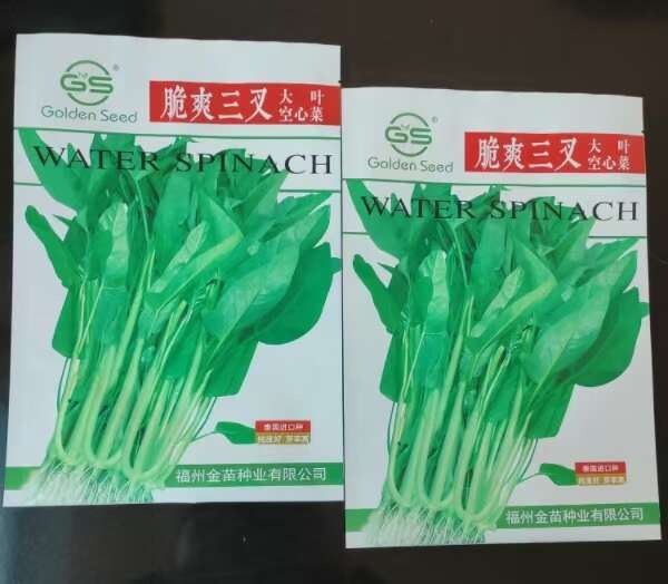 福州脆爽三叉空心菜种子大叶