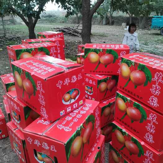 民乐县民乐苹果梨 香脆甜 个大颜色鲜艳靓丽