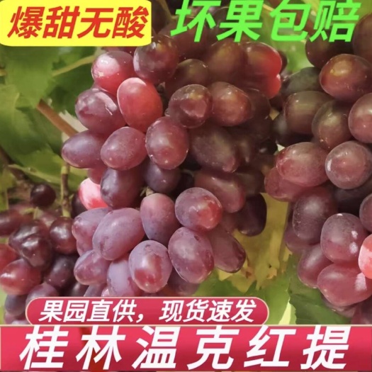 全州县桂林温克红提（有籽），甜无酸，有点脆，坏果包赔