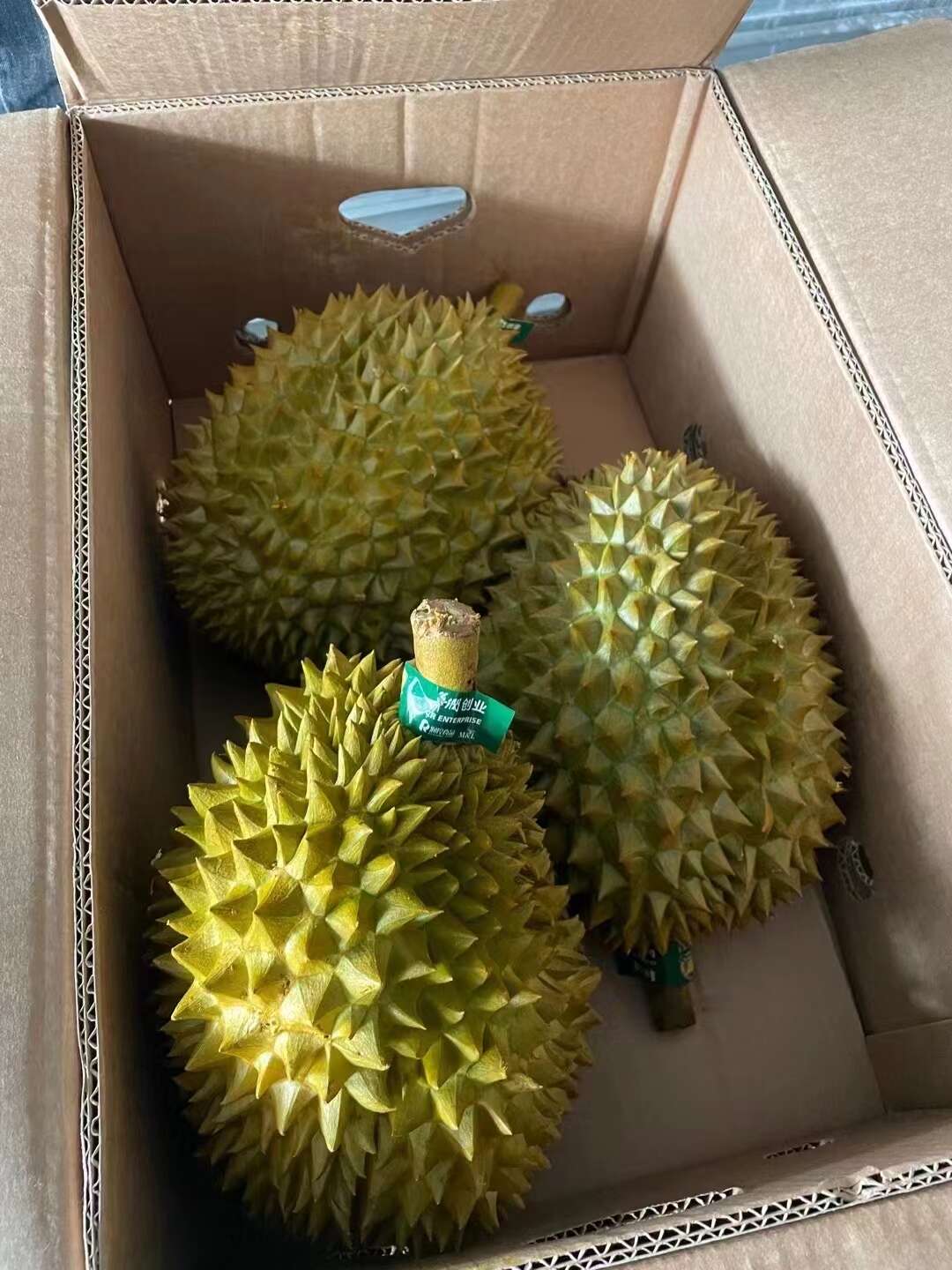 菲律宾黄金普雅榴莲 一手货源