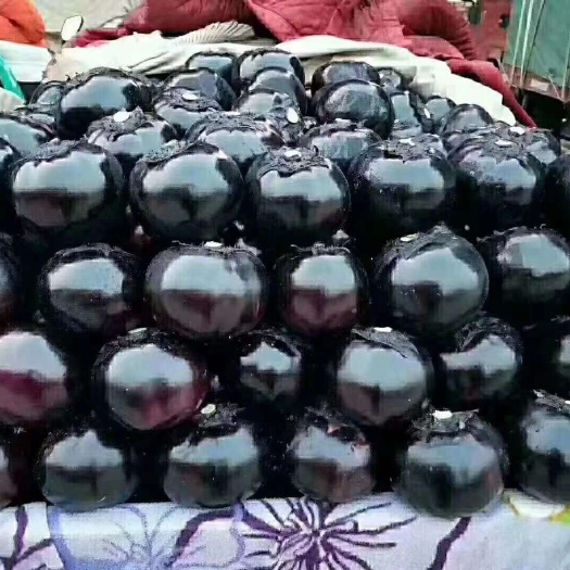 精品圆茄，大量供应各大市场，商超，学校，食堂