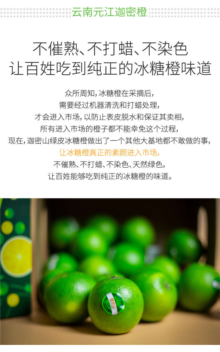 【迦密橙】元江綠皮冰糖橙基地直供