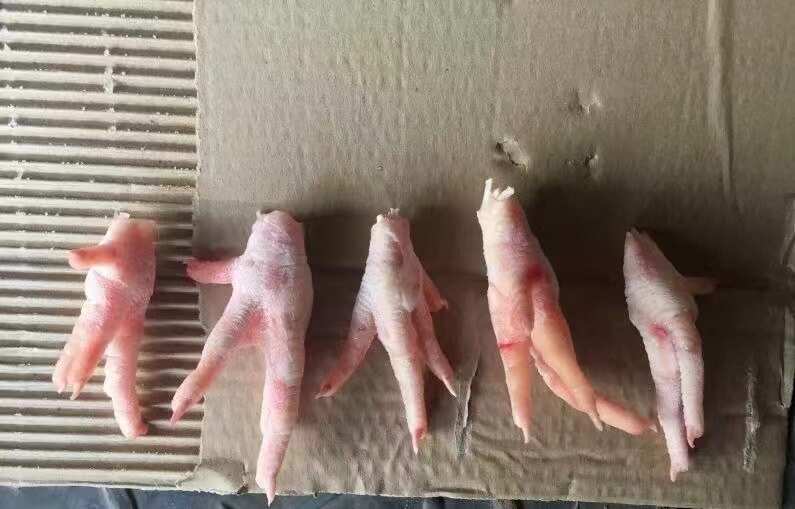 巴西A级冷冻凤爪