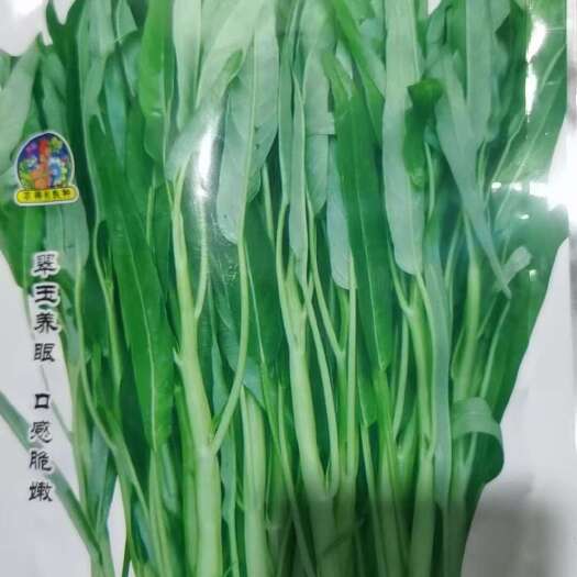 南靖县龙江颂类型大梗半青白空心菜种子，适合南方沿海地区露天大棚种植