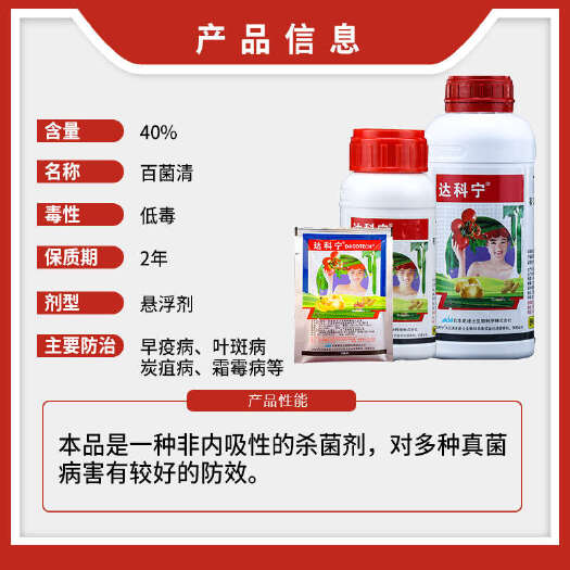 南宁日本史迪士达科宁40%百菌清西红柿黄瓜辣椒叶斑病霜霉炭疽病
