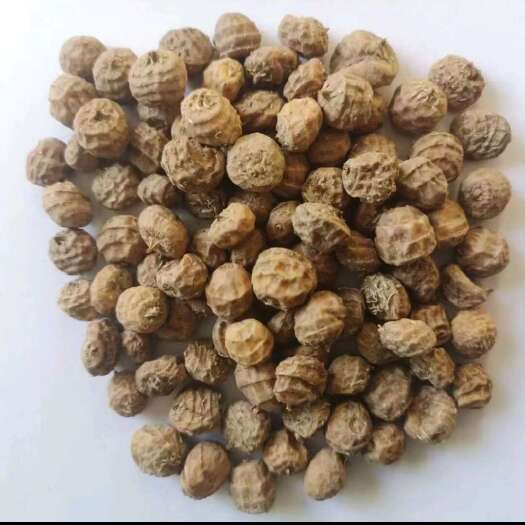 北票市油莎豆