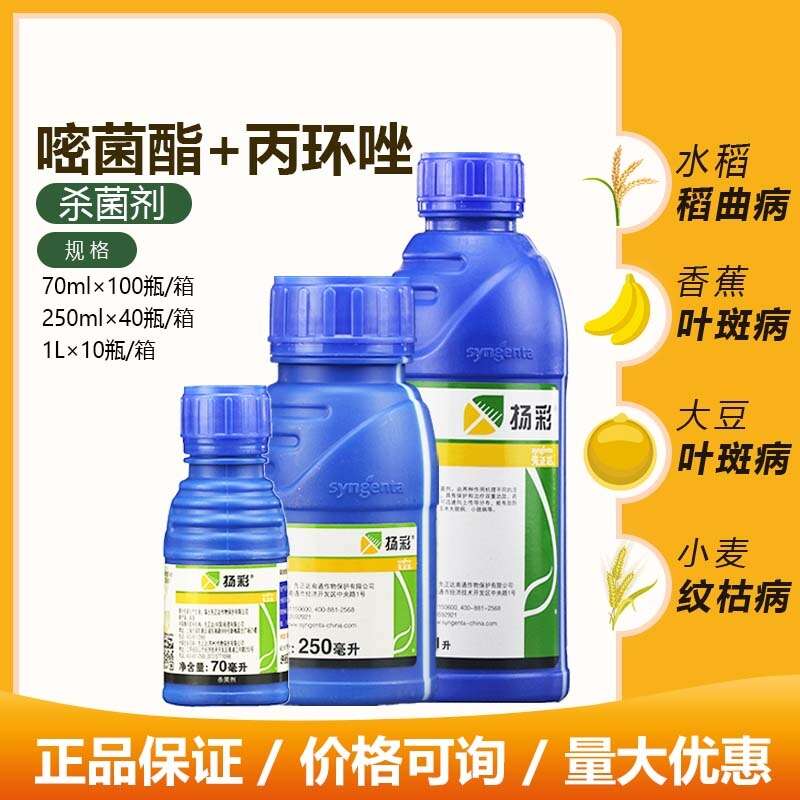 先正达扬彩 嘧菌酯丙环唑香蕉小麦叶斑病玉米大小斑病农药杀菌剂