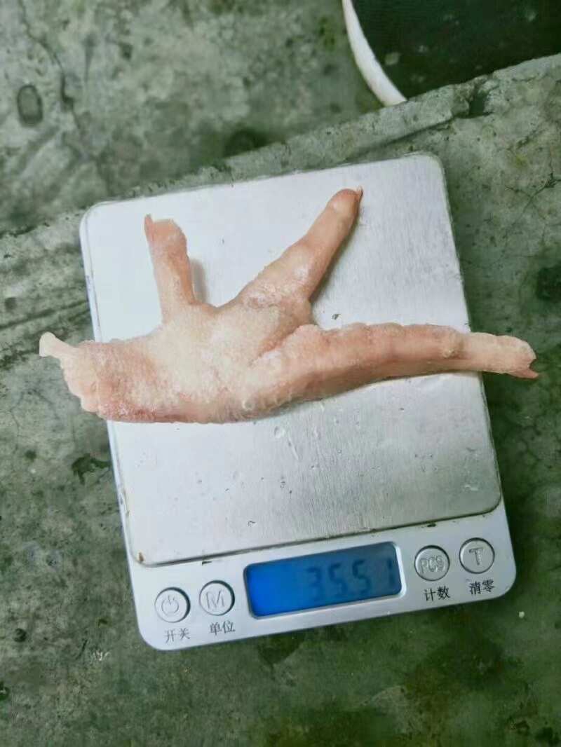 巴西A级冷冻凤爪