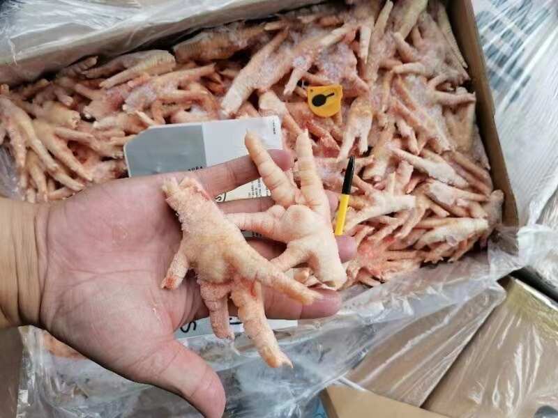 巴西A级冷冻凤爪