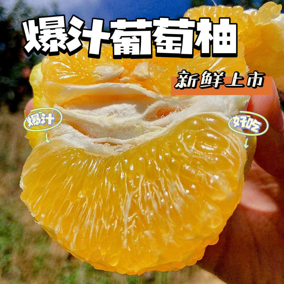 平和县福建平和新鲜葡萄柚精选现摘现发！果肉饱满巨补水！！