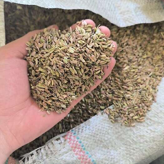 海原县小茴香，小茴香根皮货量大，品质精良