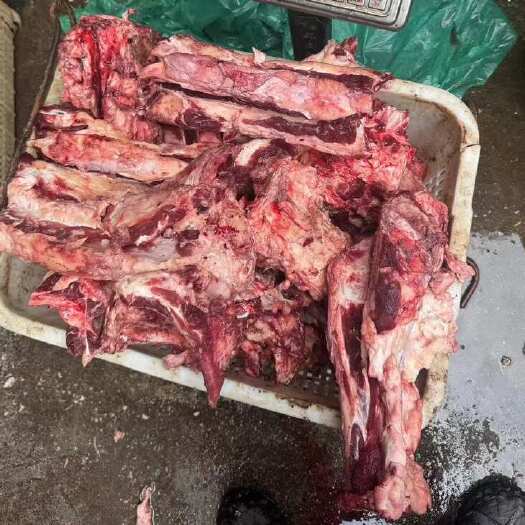 佛山带肉牛尾骨