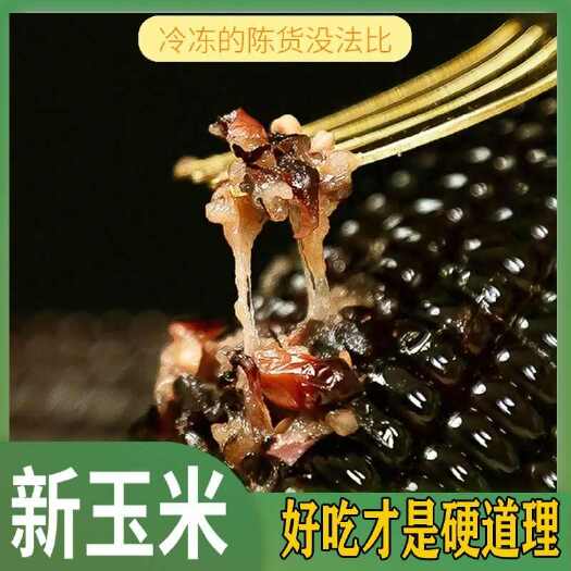 五常市黑黏玉米棒俏江东真空包装  速冻黄黏玉米白黏玉米口感好