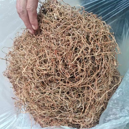 当阳市鱼腥草干根