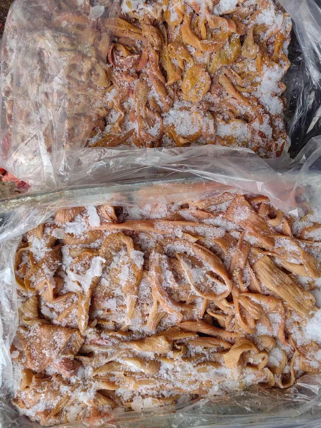 牛大肠去油牛小肠牛散带牛伞带牛圆肠纯清水煮牛肠五成熟红肠牛肚
