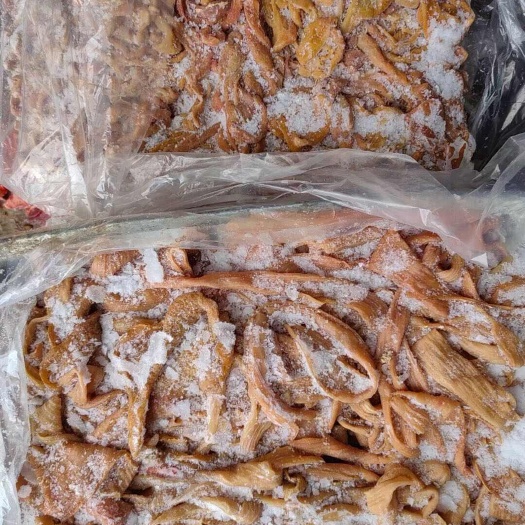 郑州牛大肠牛小肠牛散带牛伞带圆肠，五成熟