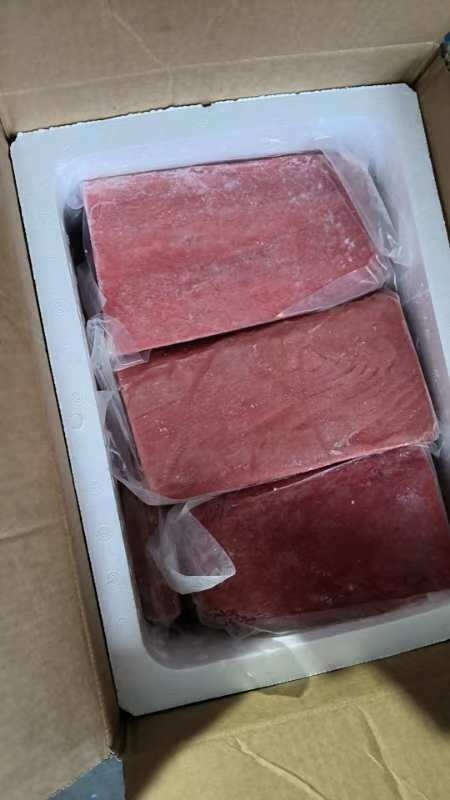 广州金枪鱼