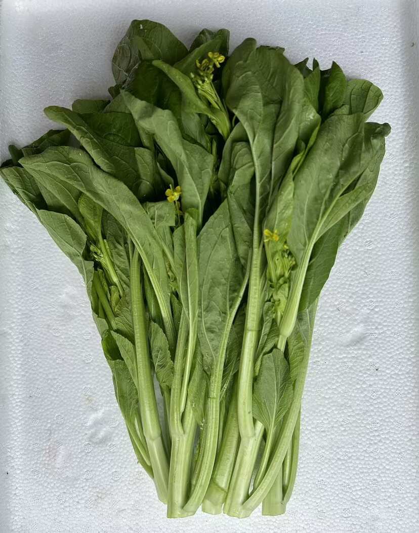 连州菜心 丰裕2号菜心产品