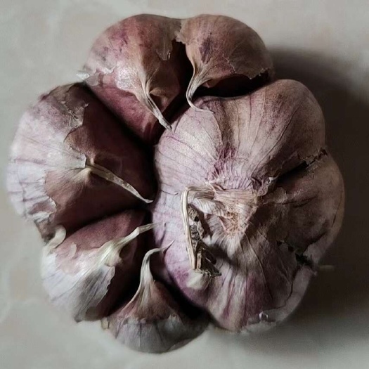 红皮蒜  紫皮大蒜红皮大蒜2025年大理鲜湿蒜瓣蒜批发量