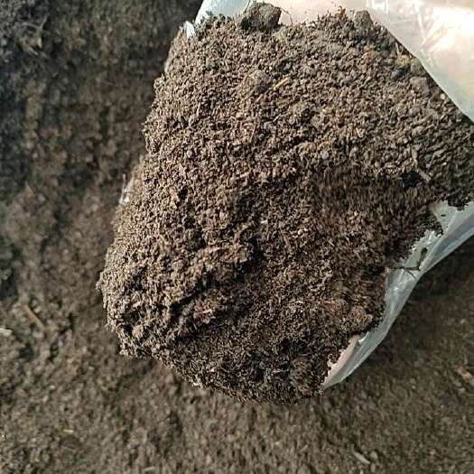 盐城发酵羊粪有机肥
