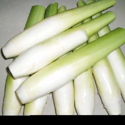 河姆渡茭白