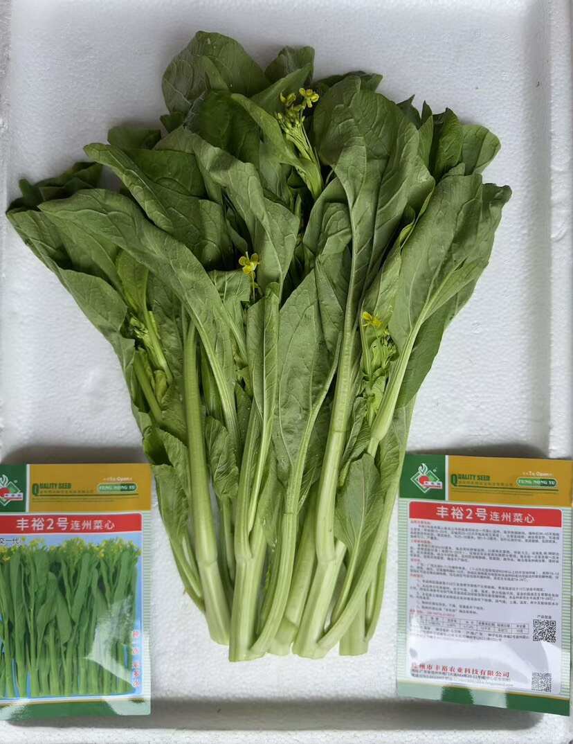 连州菜心 丰裕2号菜心产品