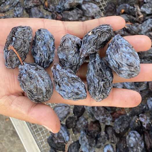 伊宁市新疆伊犁西梅干通货批发