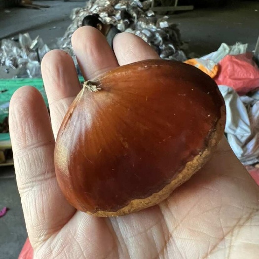 丹东板栗一件代发包邮各大平台可以erp对接金华油栗板栗仁齐全