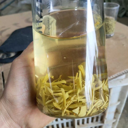 洪雅县黄金芽