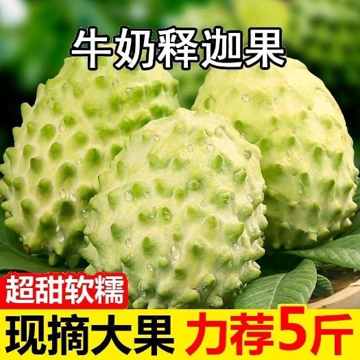 释迦果新鲜番荔枝5斤水果凤梨牛奶佛头果林檎释迦摩尼果鲜果3斤