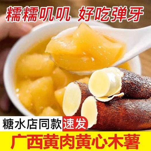 容县黄肉木薯
