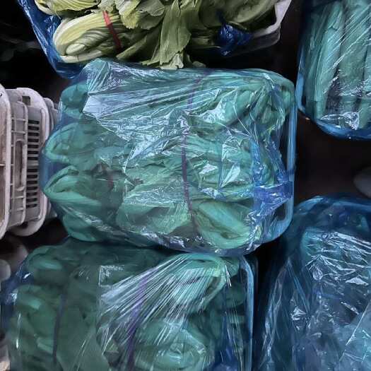 清徐县芥菜大量上市、质量好