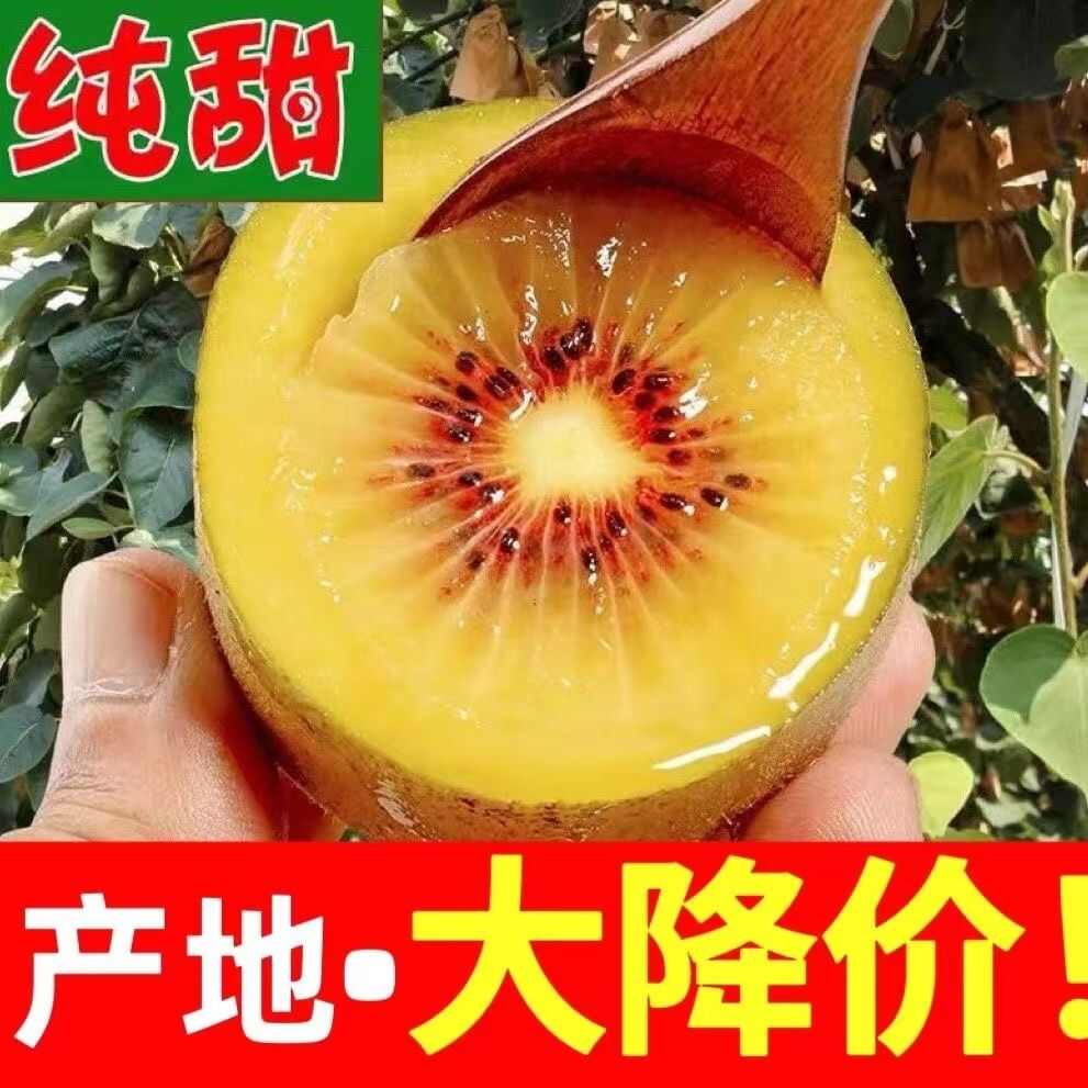 現(xiàn)摘紅心獼猴桃 四川蒲江獼猴桃水果批發(fā) 新鮮奇異果應(yīng)季彌