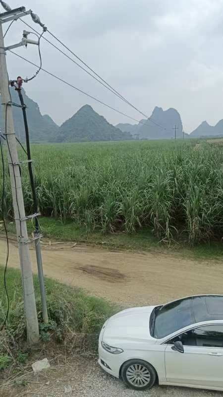 南宁水田