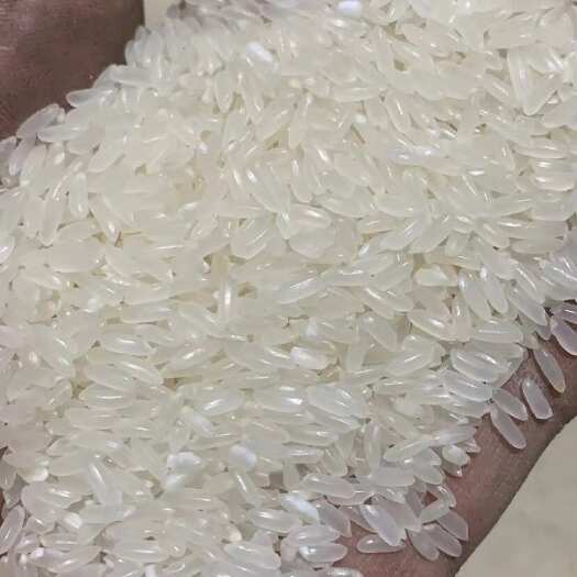 哈尔滨长粒香